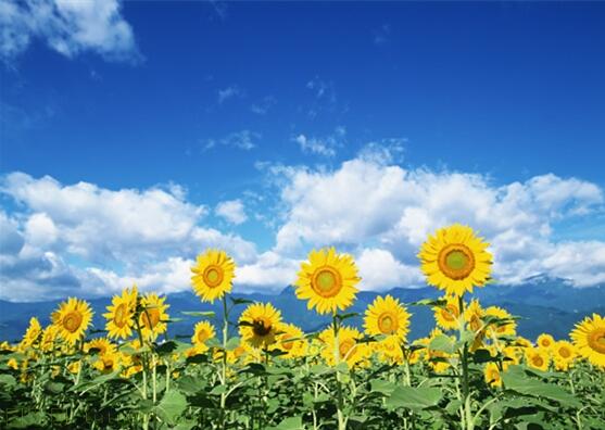 用責任點燃青春,以擔當成就事業(yè)