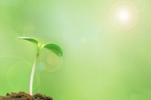 歲生之初,且聽我說