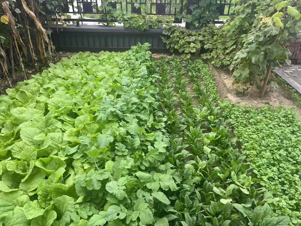 工地之上,家的溫度悄然綻放