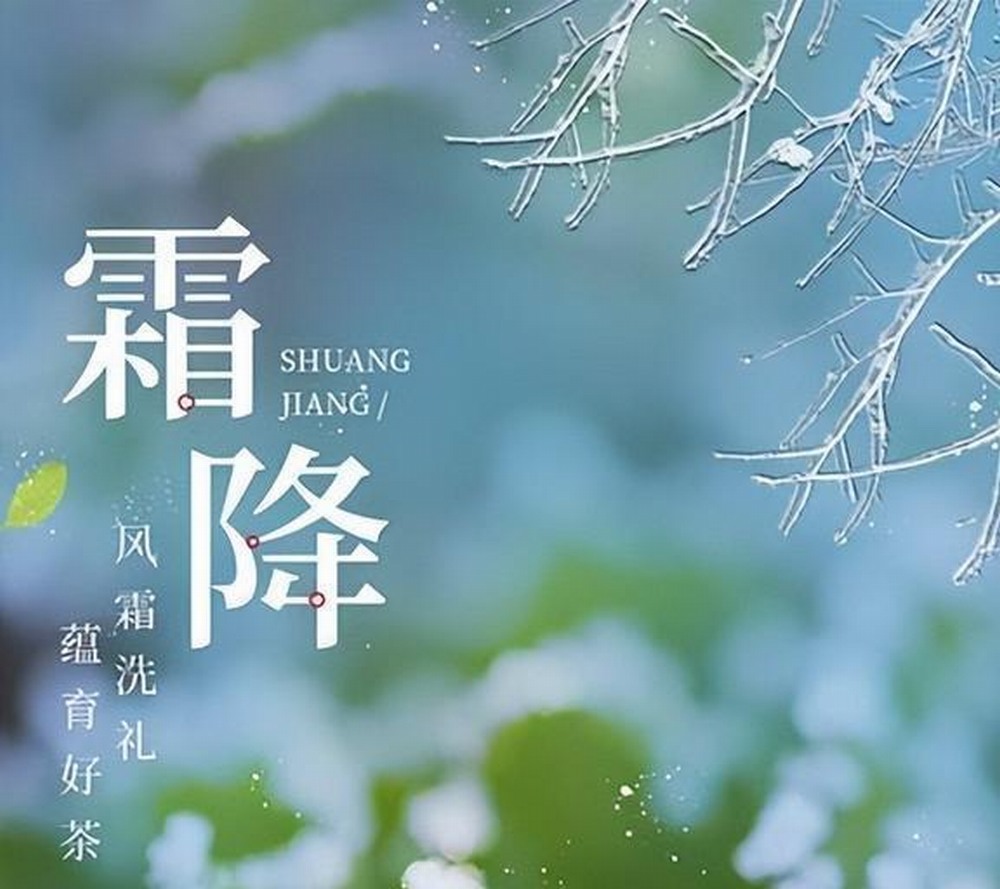 霜降:秋的告別式