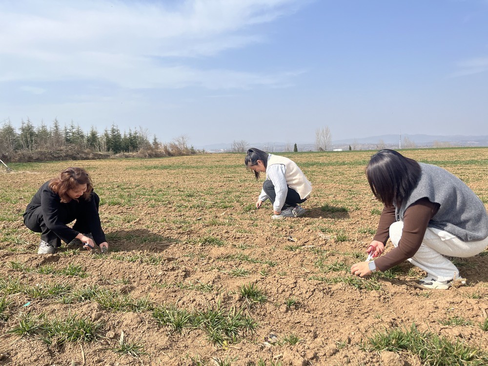 午日春光 野菜之約