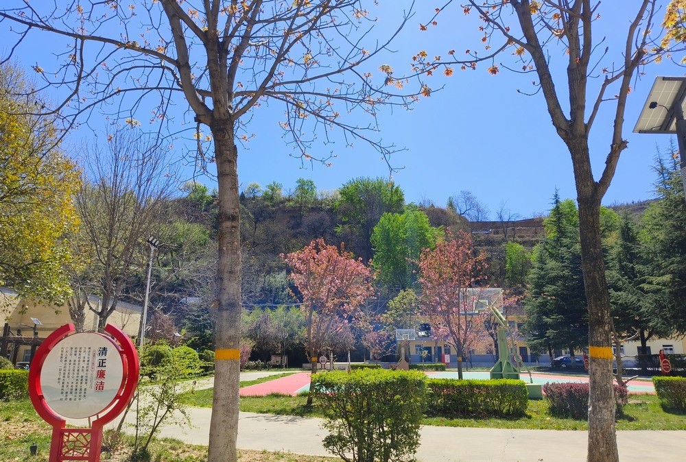 陜煤建設(shè)銅煤公司:春韻盈院 奮楫新程