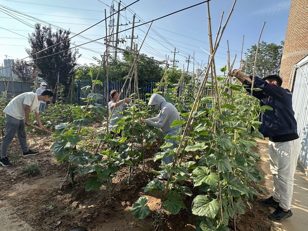 方寸菜園間,鐫刻奮斗與溫情