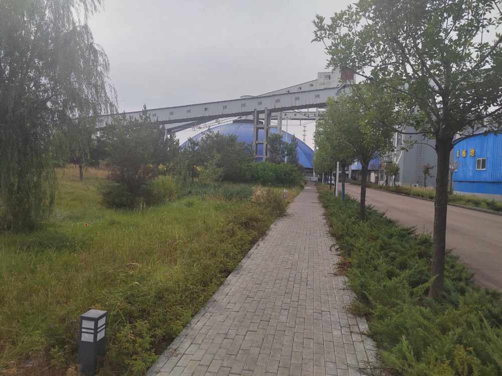 陜煤建設(shè)洗選煤運(yùn)營(yíng)公司紅柳林洗煤廠項(xiàng)目部:秋韻里的安全堅(jiān)守與生產(chǎn)奮進(jìn)